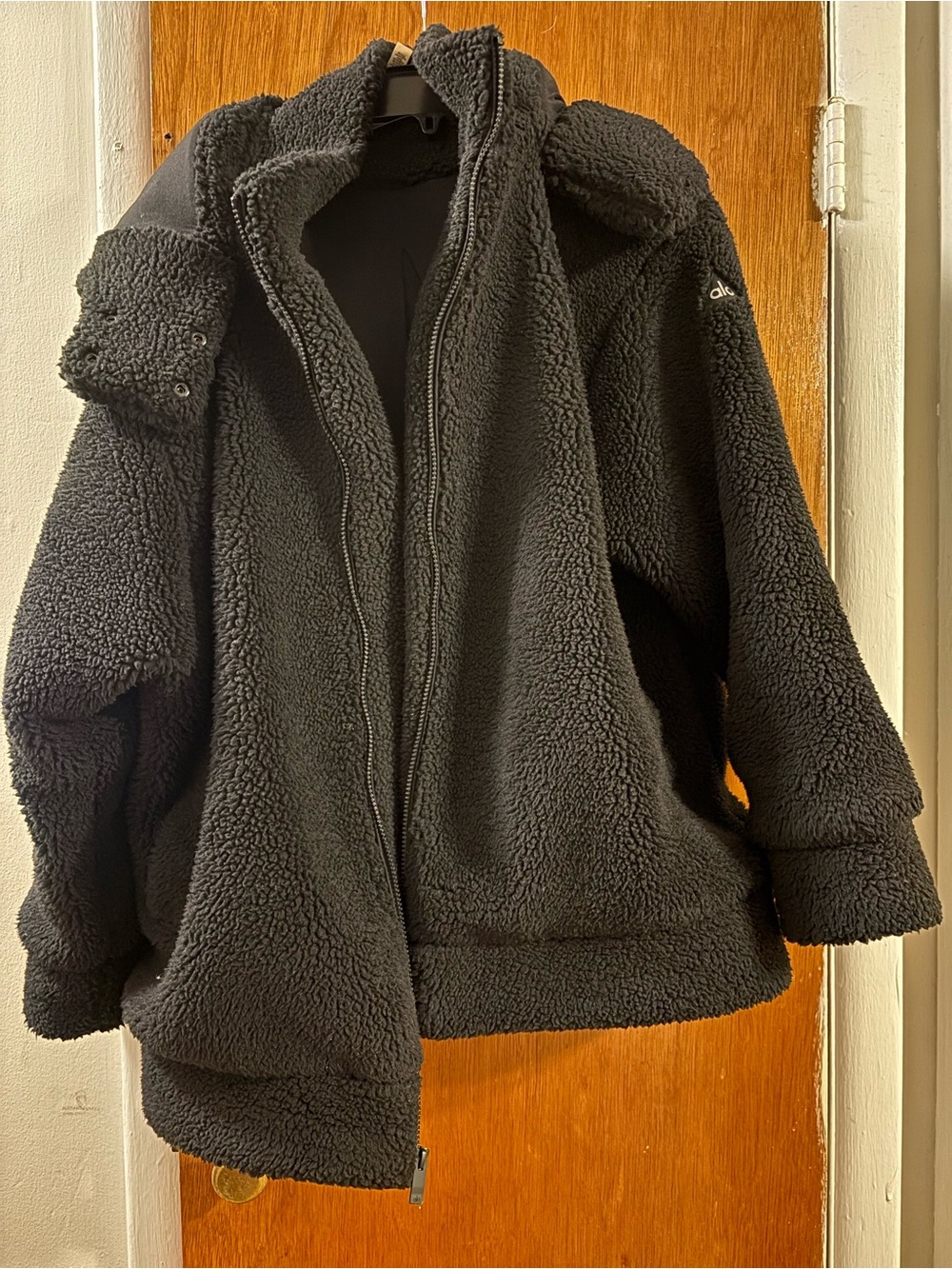 Alo Norte Teddy Coat